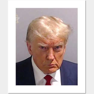 Donald Trump Mugshot Posters and Art